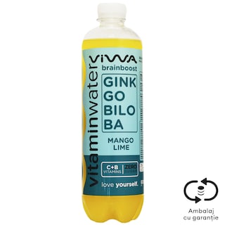 Viwa | Bautura cu vitamine Brain Boost 600ml