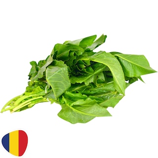 (bucata) | Stevie, legatura