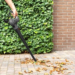 Ferm | Suflanta pentru frunze 400W