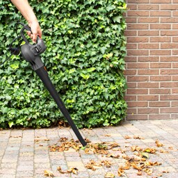 Ferm | Suflanta pentru frunze 400W