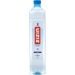 Zizin | Apa minerala naturala plata 1L