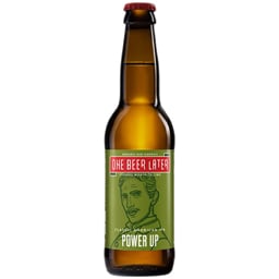 Bere artizanala Classic American IPA Power Up 330ml