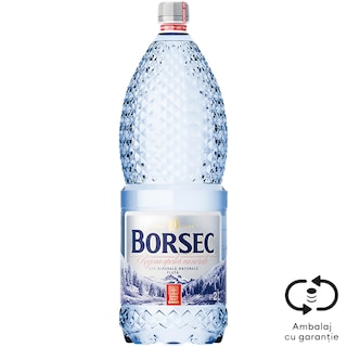 Borsec | Apa minerala naturala plata 2L