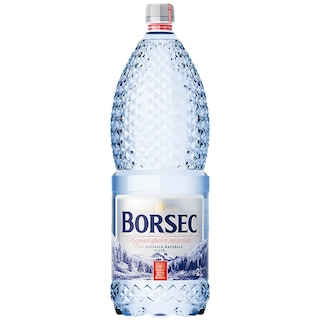 Borsec | Apa minerala naturala plata 2L