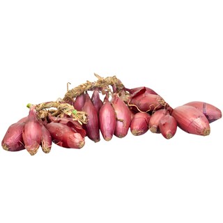 (vrac) | Ceapa de apa la funie