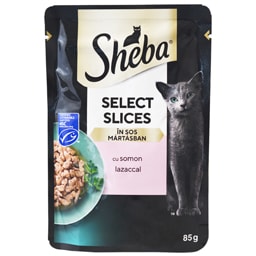 Hrana umeda pentru pisici cu somon 85g