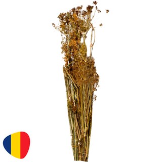 (bucata) | Marar uscat