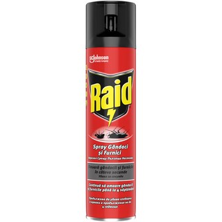 Raid