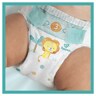 Pampers-Active Baby