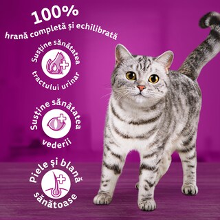 Whiskas | Hrana uscata pentru pisici, cu vita 3.8kg