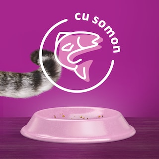 Whiskas | Hrana uscata pentru pisici cu somon 1.4kg