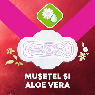Libresse | Ultra | Absorbante Ultra+ Natural 20 bucati