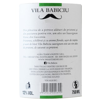 Vila Babiciu