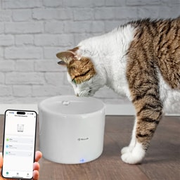 Tellur | Smart | Dispenser apa animale de companie TLL331471