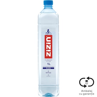 Zizin | Apa minerala naturala plata 1L