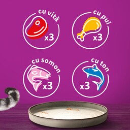 Whiskas | Hrana umeda pentru pisici Selectie mini fileuri in aspic 12x85g