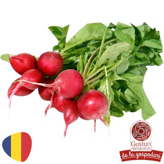 Gusturi romanesti | Ridichi, legatura