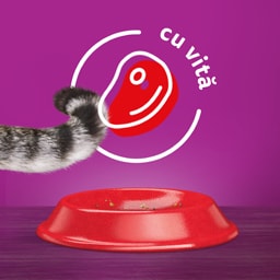 Whiskas | Hrana uscata pentru pisici, cu vita 3.8kg