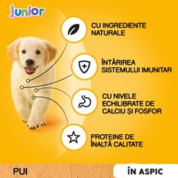 Pedigree | Hrana completa pentru catei Junior cu pui si orez 100g