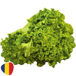 (bucata) | Salata creata Batavia