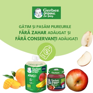 Gerber | Desert bio cu mango, kiwi si cocos 4x90g