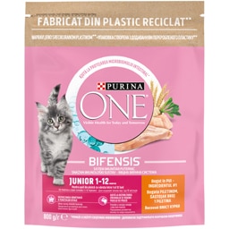 Purina One | Hrana uscata cu pui pentru puii de pisica 800g