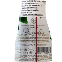 Valdo | Spumant floral rose 0.75l