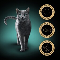 Sheba | Hrana completa pentru pisici adulte, cu ton 85g