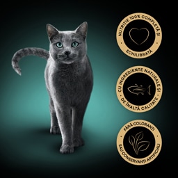 Sheba | Hrana completa pentru pisici adulte, cu ton 85g