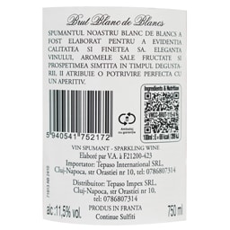 Edmond Thery | Vin spumant 0.75L