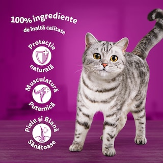 Whiskas | Hrana umeda pentru pisici bucati moi de pasare in aspic 4x85g