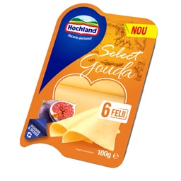 Hochland | Select | Felii Select Gouda 100g