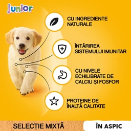 Pedigree | Hrana umeda pentru caini Junior, selectie mixta in aspic, 4x100g
