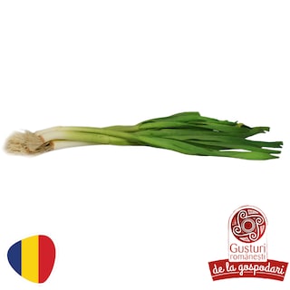 Gusturi romanesti | Usturoi verde