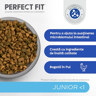 Perfect Fit | Hrana uscata, completa, bogat in pui, pentru pui de pisica 750g