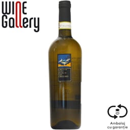 Feudi Di San Gregorio | Vin San Gregorio 0.75L