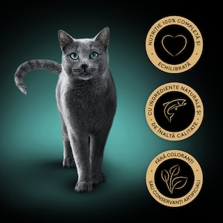 Sheba | Hrana umeda pentru pisici cu somon 85g