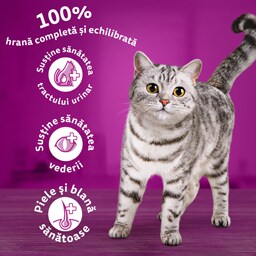 Whiskas | Hrana uscata pentru pisici, cu vita 300g