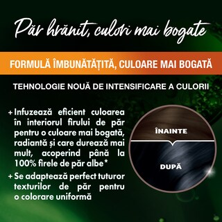 Garnier-Color Naturals