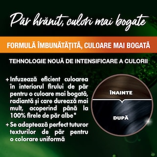 Garnier | Color Naturals | Vopsea par Negru albastrui 2.10