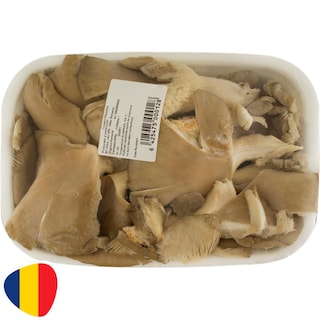(produs ambalat) | Ciuperci Pleurotus 500g