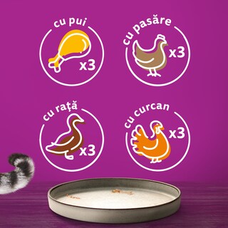 Whiskas | Hrana umeda pentru pisici, cu pui in aspic 12x85g