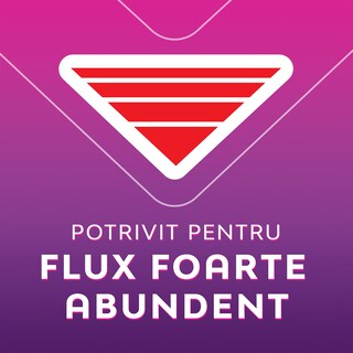 Libresse | Absorbante Maxi Goodnight, 10 bucati