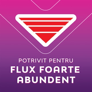 Libresse | Absorbante Maxi Goodnight, 10 bucati