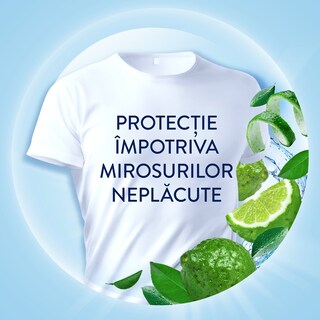 Lenor | Balsam pentru rufe Meadow, 71 spalari 1.491L