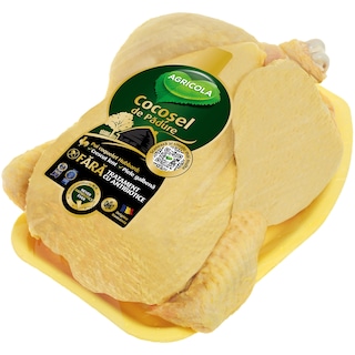 Agricola | Cocosel de padure