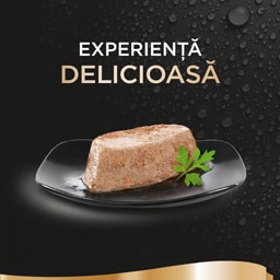 Sheba | Perfect Portions | Pate cu pui pentru pisici 6x37.5g