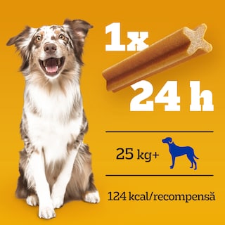 Pedigree | DentaStix | Hrana complementara pentru caini, 25 kg+, 7 batoane, 270g