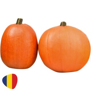 (vrac) | Dovleac Halloween