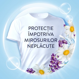 Lenor | Balsam pentru rufe Lavanda si musetel, 71 spalari 1.491L